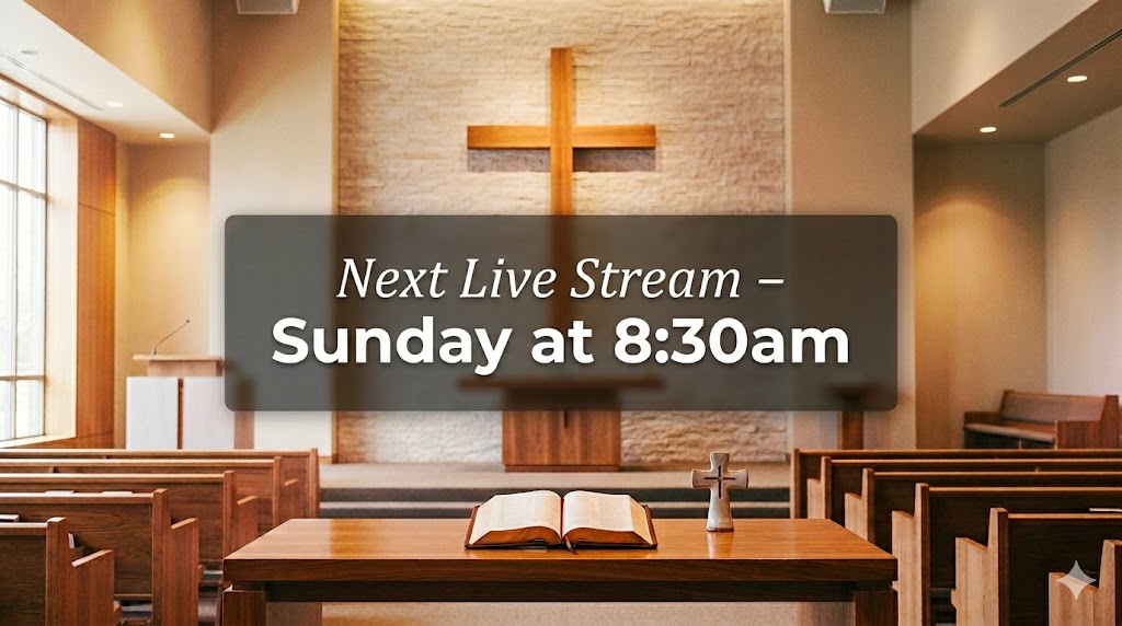 Watch our live stream